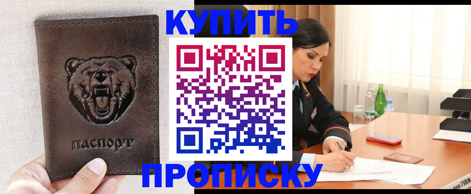 где прописаться в Кашине